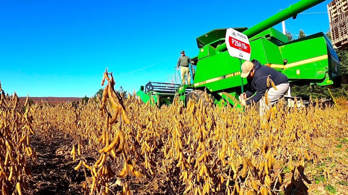 THE MOMENT WE HAVE BEEN WAITING FOR