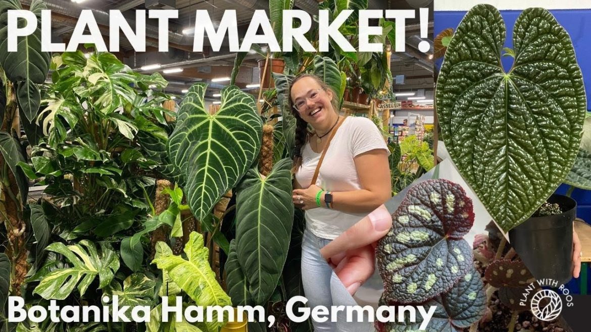 Rare Plant Market | Botanika Hamm | Plant with Roos Rare Plant Market | Botanika Hamm | Plant with Roos
