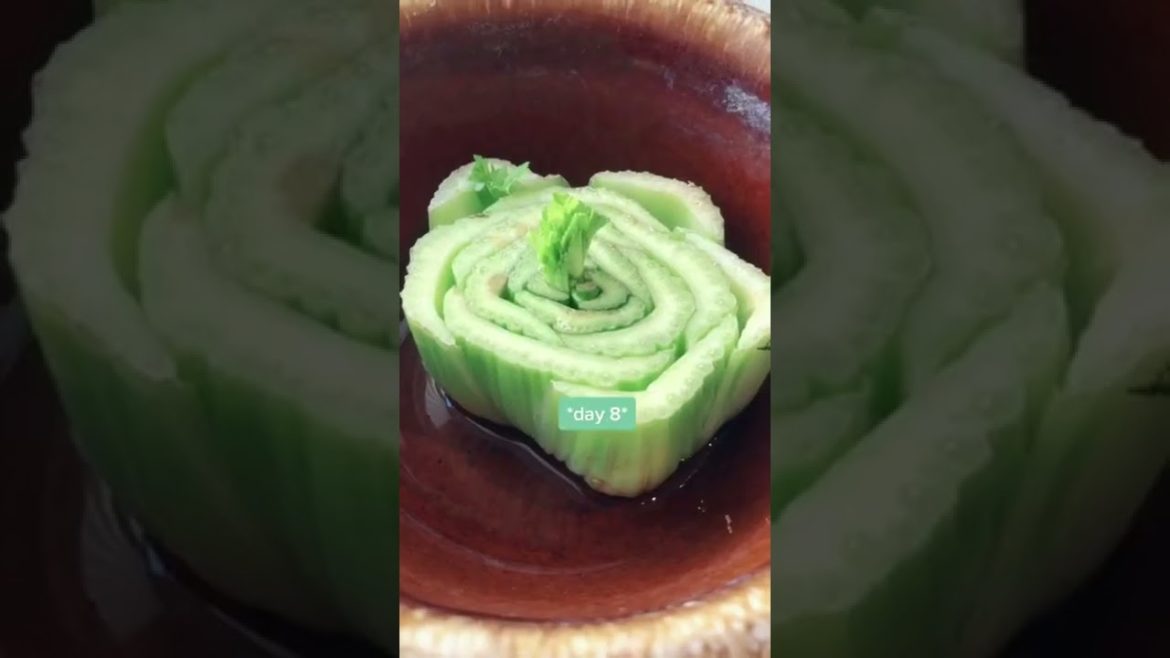 How to Grow Celery - Gardening Tips