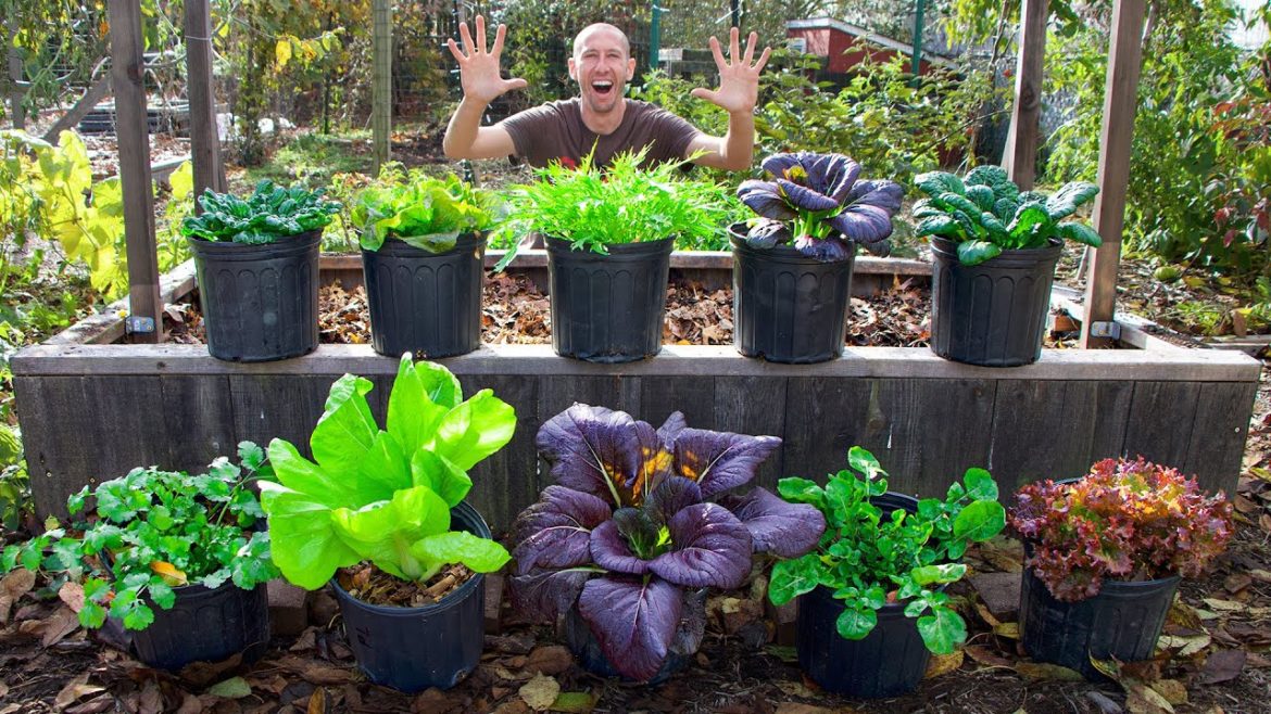 James Prigioni: 10 Crops To FEED You Through Winter! 10 Crops To FEED You Through Winter!