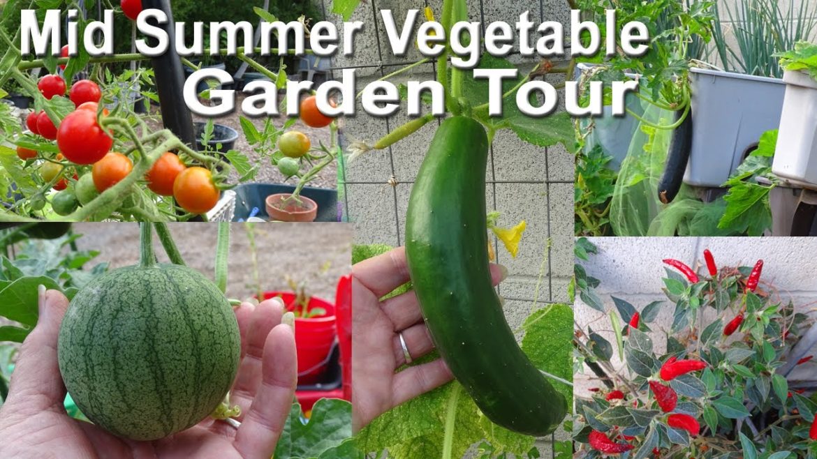 Tips How to GROW FOOD in Summer Container Gardening Totes Trellis Vegetable Garden Tomatoes Peppers