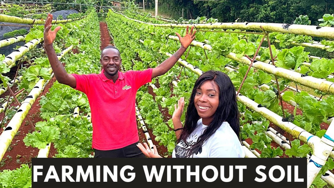 From Jamaican Olympic Athlete to running the largest HYDRO FARM in the Caribbean | Full Tour