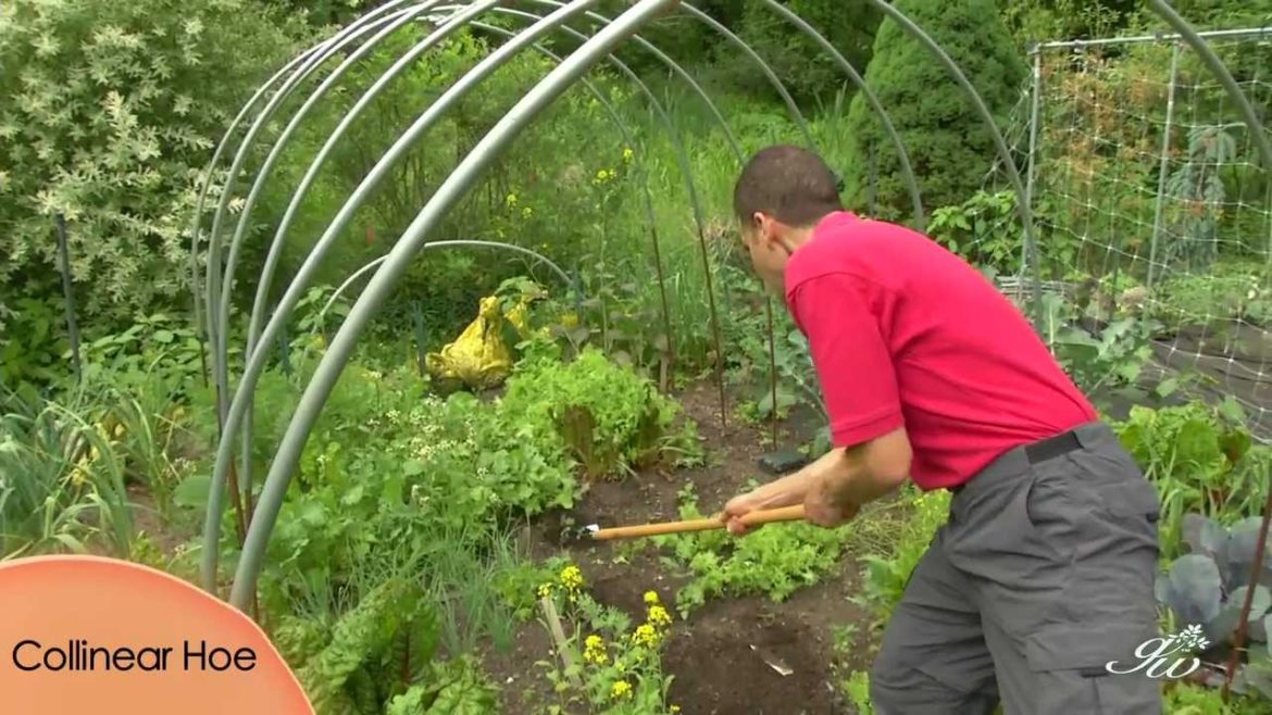 Long Handled Gardening Tools Save on Your Back! Stirrup, Collinear & Trapezoid Hoe