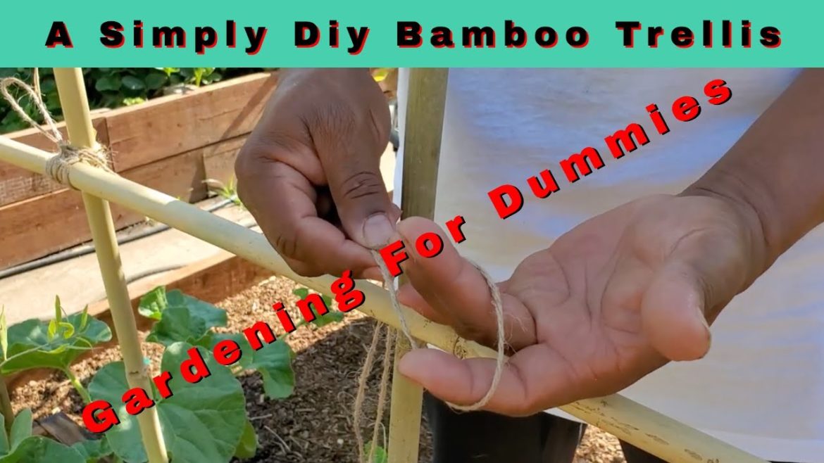 How To Build A Simple Bamboo Trellis #gardentrellis #diygardenideas How To Build A Simple Bamboo Trellis #gardentrellis #diygardenideas