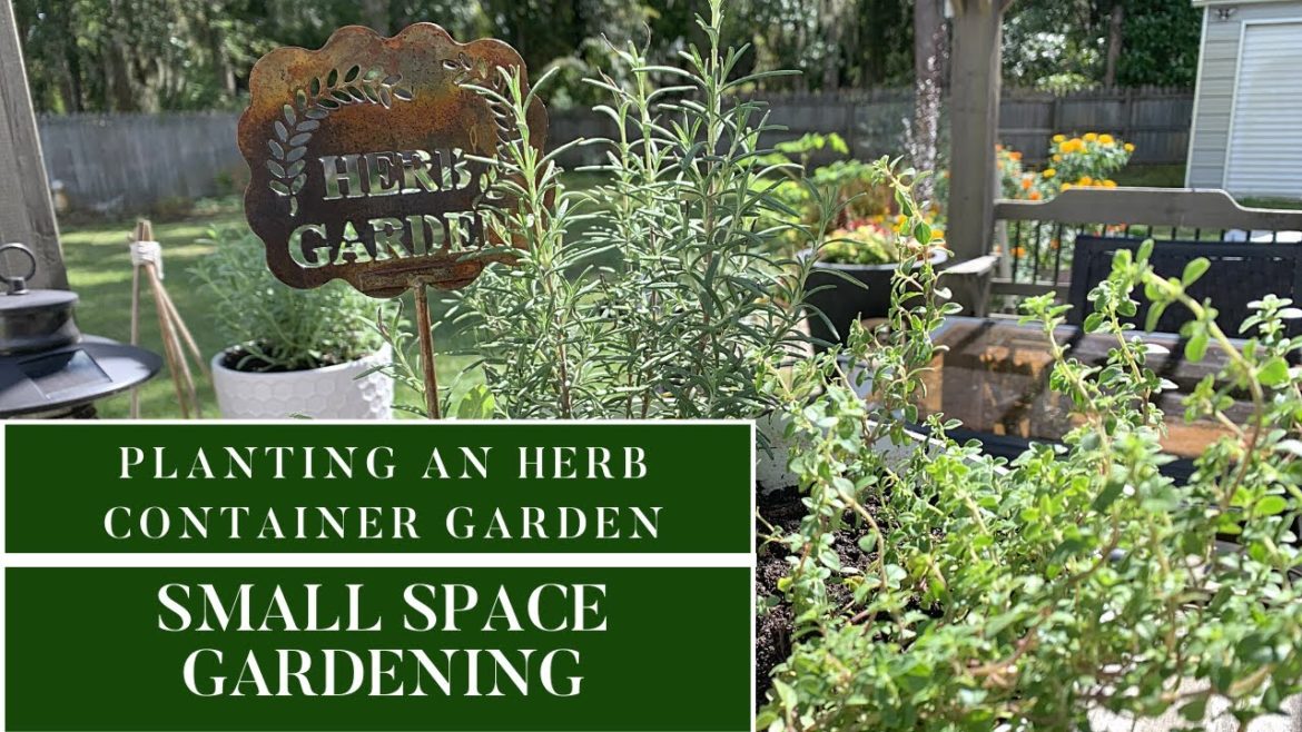 Planting an Herb Container Garden|Beginning Gardening|Container Gardening