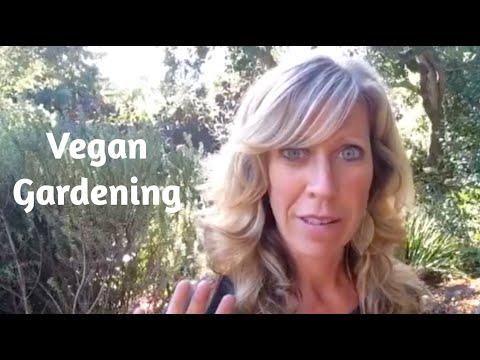 Vegan Gardening – Growing Veggies without Animal Products Vegan Gardening - Growing Veggies without Animal Products