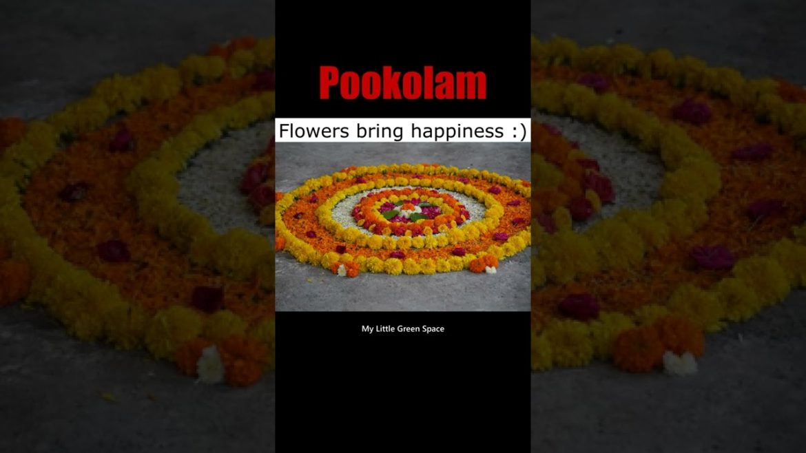 Pookolam | #shorts Pookolam | #shorts