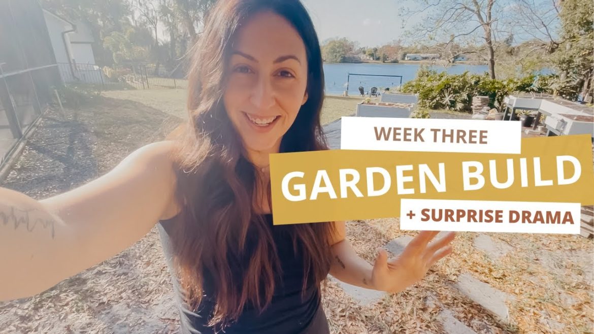 GARDEN DRAMA – Week Three of Building My Suburban Backyard Garden GARDEN DRAMA - Week Three of Building My Suburban Backyard Garden