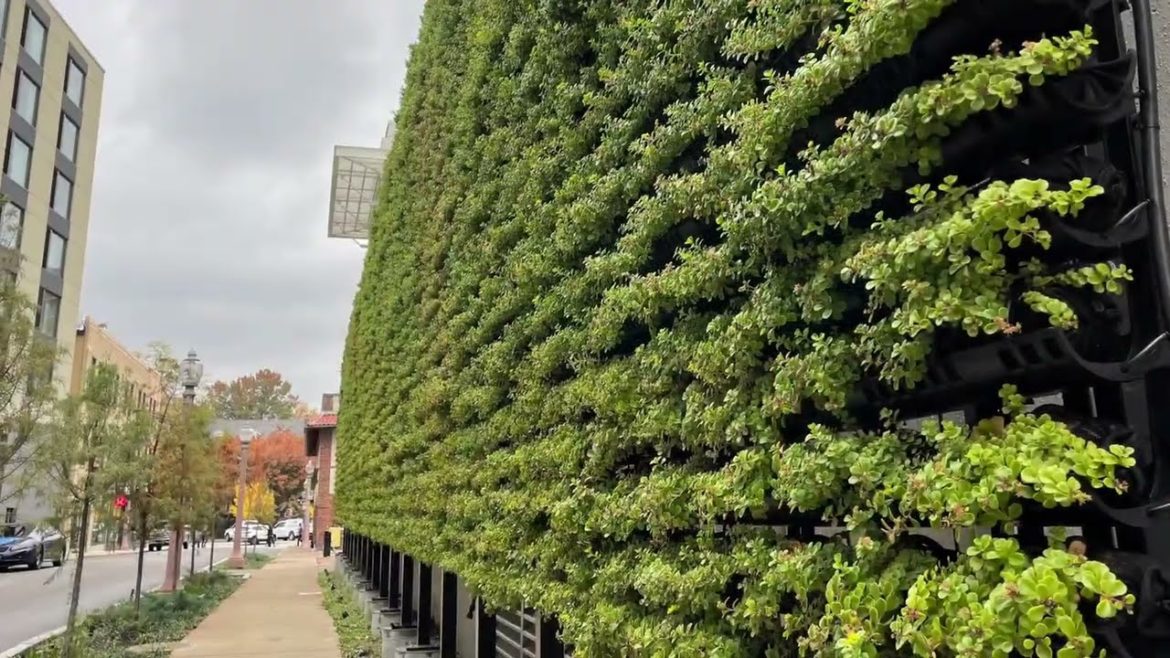 Fall Season Outdoor Varden Living Walls '22