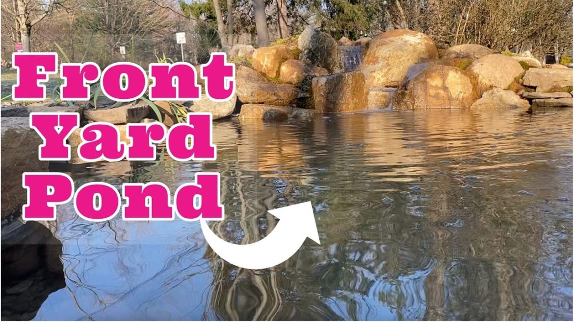 Tranquility Deluxe | FRONT YARD POND