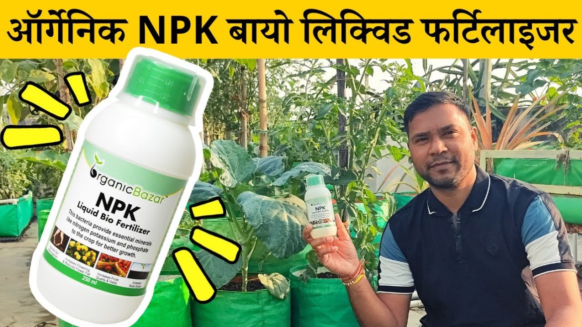 ऑर्गेनिक NPK बायो लिक्विड फर्टिलाइजर के फायदे और इस्तेमाल करने का तरीका | NPK Bio Liquid Fertilizer