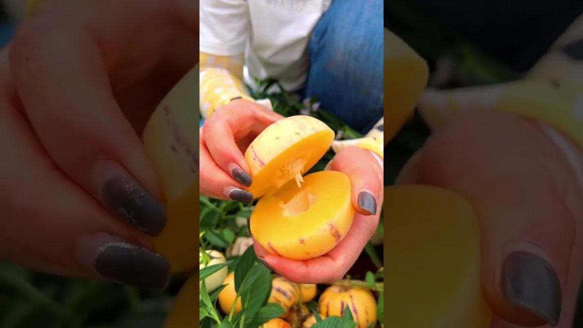 It's Pepino fruit #shorts #fruit