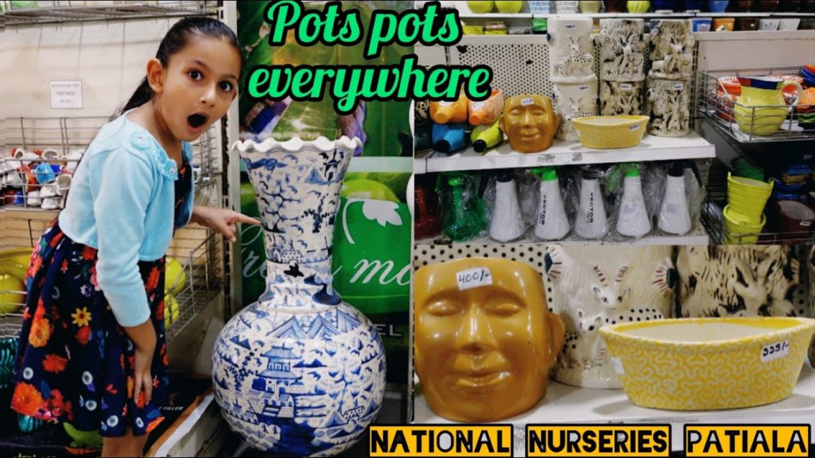 Cheap & Best Ceramic Pots / Planters in Patiala Part-1 | Gardening accessories