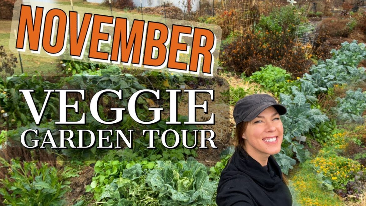 November Vegetable Garden Tour: Ohio, 2022