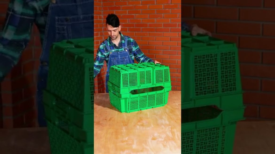 5-Minute Crafts -Gardening tips and tricks for plant lovers💚 #5minutecrafts #shorts 5-Minute Crafts -Gardening tips and tricks for plant lovers💚 #5minutecrafts #shorts