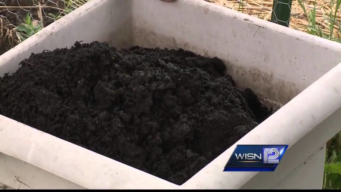 Container Gardening Tips Container Gardening Tips