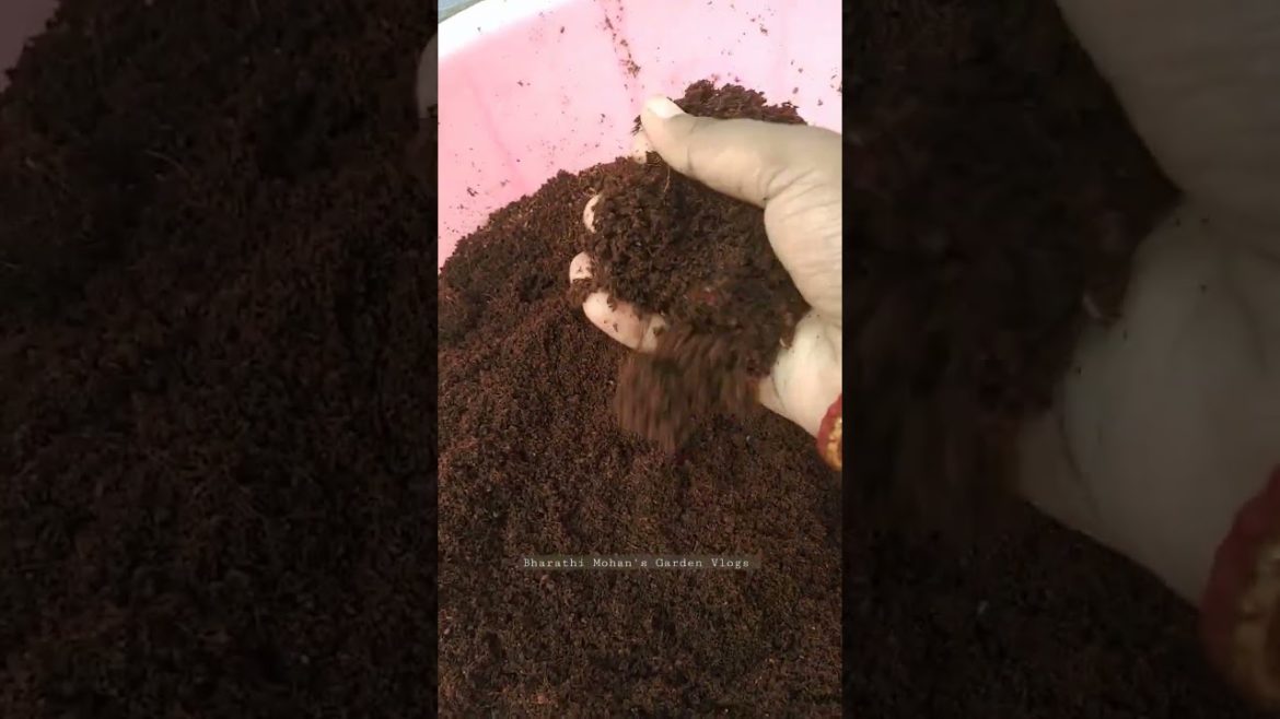 #gardening #fertilizer #garden #tips #cocopeat
