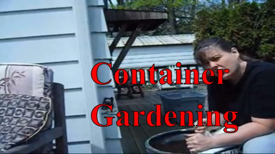 Container Gardening (Homestead Tessie Mobile Home Living)