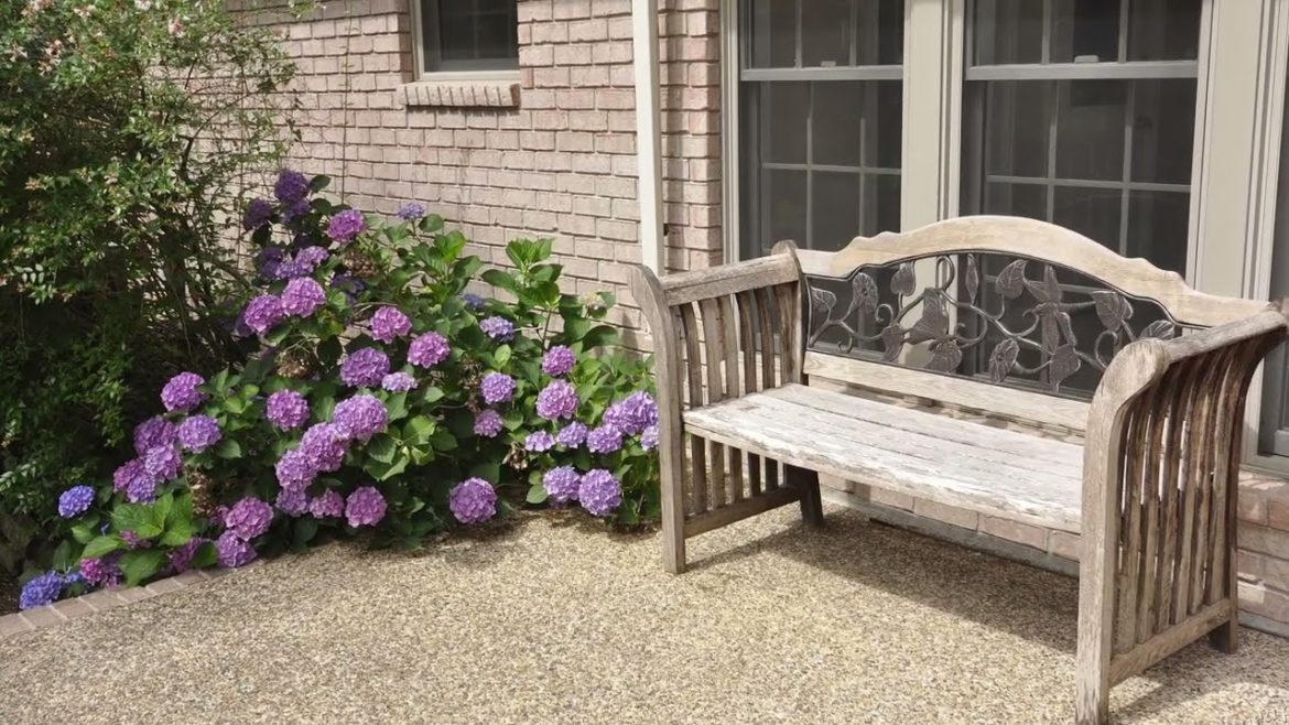 50 garden and backyard landscape design ideas!