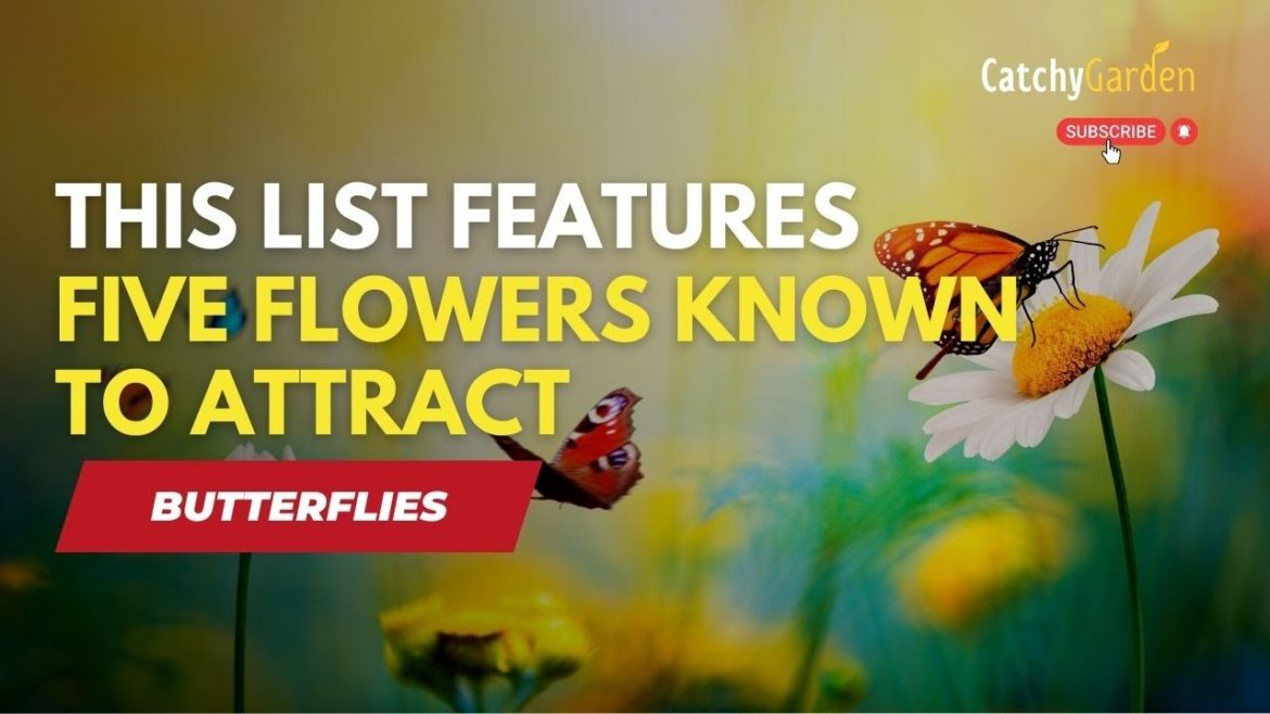 This list features five flowers known to attract butterflies ๐บ๐ฆ๐ธ This list features five flowers known to attract butterflies ๐บ๐ฆ๐ธ