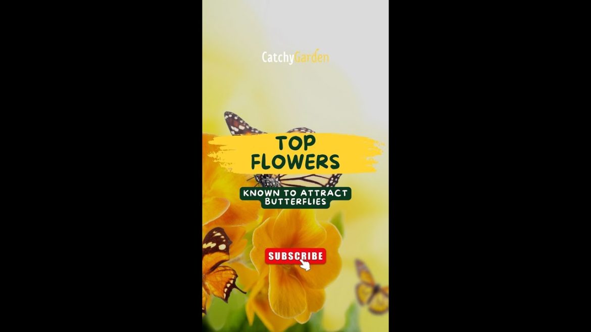 This list features five flowers known to attract butterflies πΈπ¦// #short #shorts This list features five flowers known to attract butterflies πΈπ¦// #short #shorts
