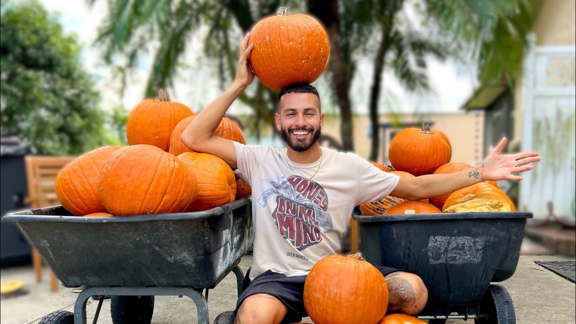 We Picked Up 100 pumpkins For All My Animals On The Ranch! *EPIC*