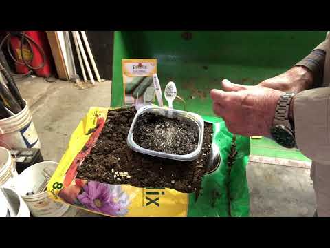 Gardening Tips, Tricks and Hacks with The Old Gardener #3 Gardening Tips, Tricks and Hacks with The Old Gardener #3