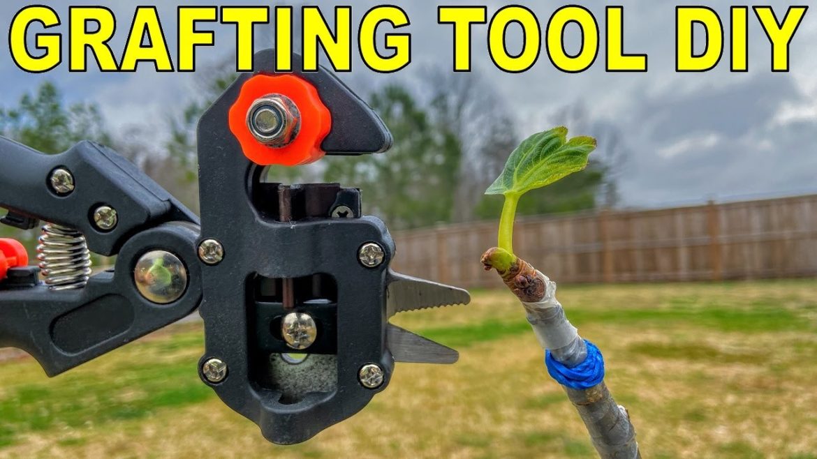 Do Grafting Tools Work? Complete Grafting Tool DIY Do Grafting Tools Work? Complete Grafting Tool DIY
