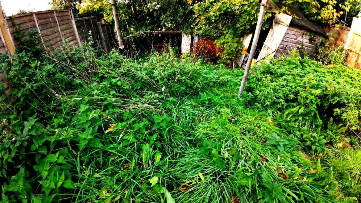 MASSIVE Garden Restoration To HELP Hard Working Single Mum! *Hidden Patio*