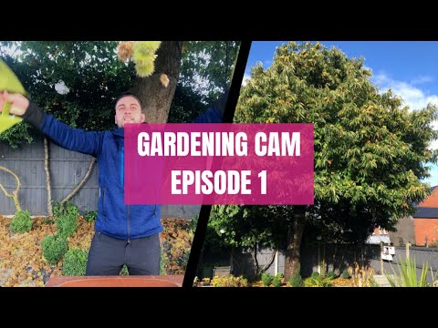 Gardening Cam Episode 1 Gardening Cam Episode 1
