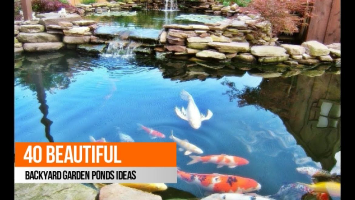 Dreaming To Have Garden Ponds? How To Make A Beautiful Backyard Garden Ponds With These Ideas