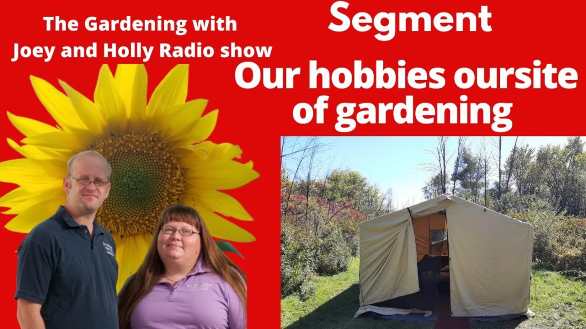 Segment 2 of S6E35 Our hobbies outside of gardening – The Gardening with Joey and Holly Radio Show Segment 2 of S6E35 Our hobbies outside of gardening - The Gardening with Joey and Holly Radio Show