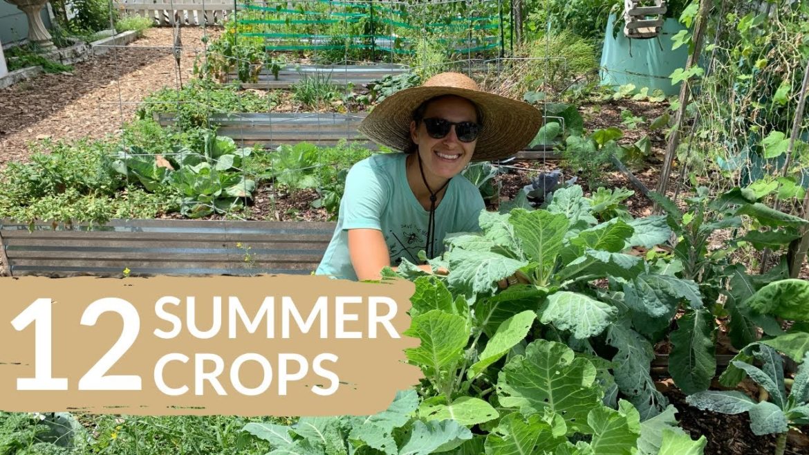 Top Picks For Your Florida Summer Garden - Summer Vegetables to Grow