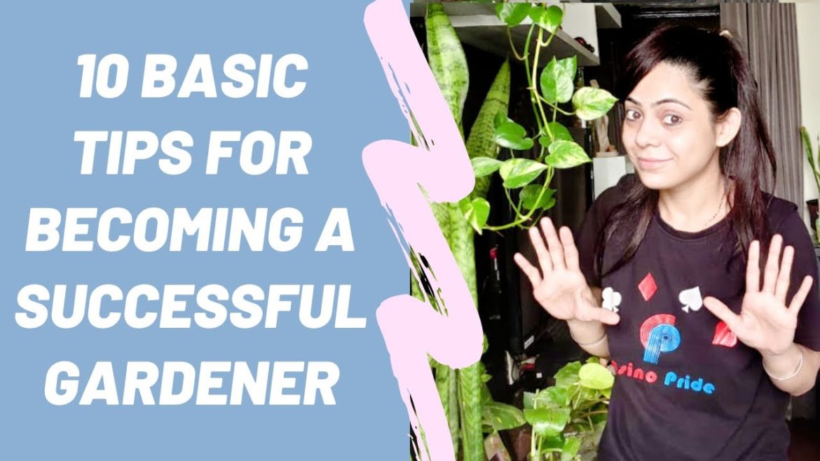 10 basic tips for becoming a successful gardener (Hindi)