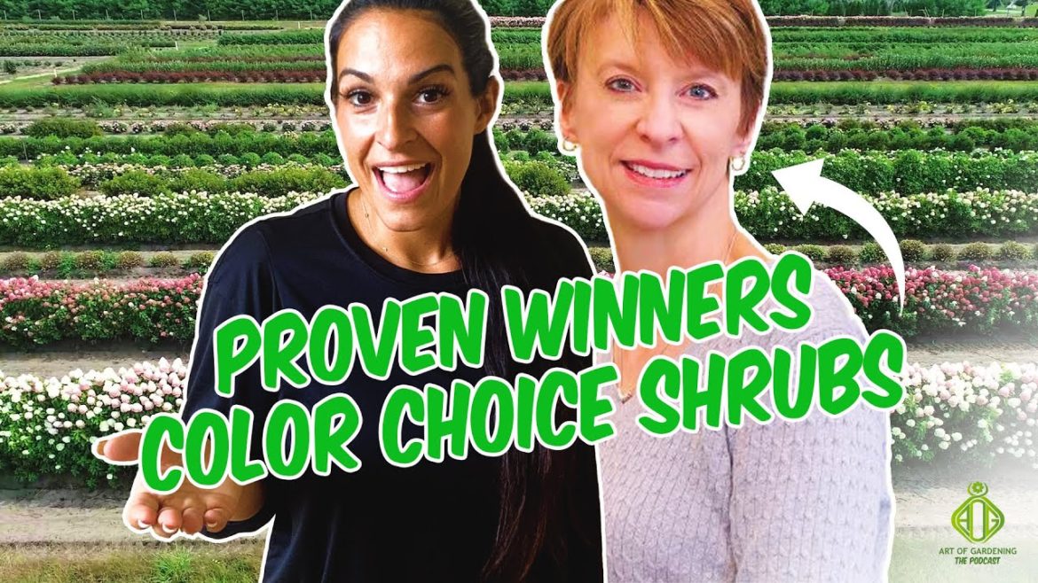 Tour Proven Winners Color Choice: Q&A Session with Natalie | Art of Gardening Tour Proven Winners Color Choice: Q&A Session with Natalie | Art of Gardening