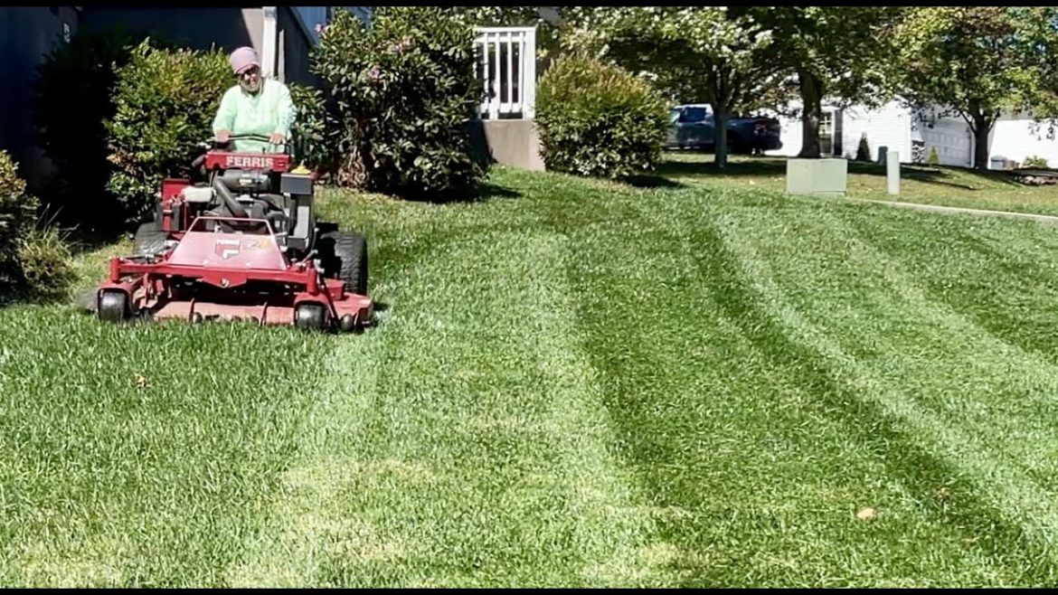 A DAY IN LAWNCARE ~ Lawns are looking good after seeding!