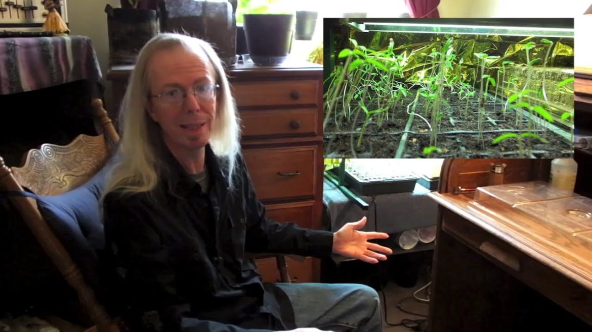 Desert Gardener - Tomato and Pepper Seeding. Tips and Tricks for January.