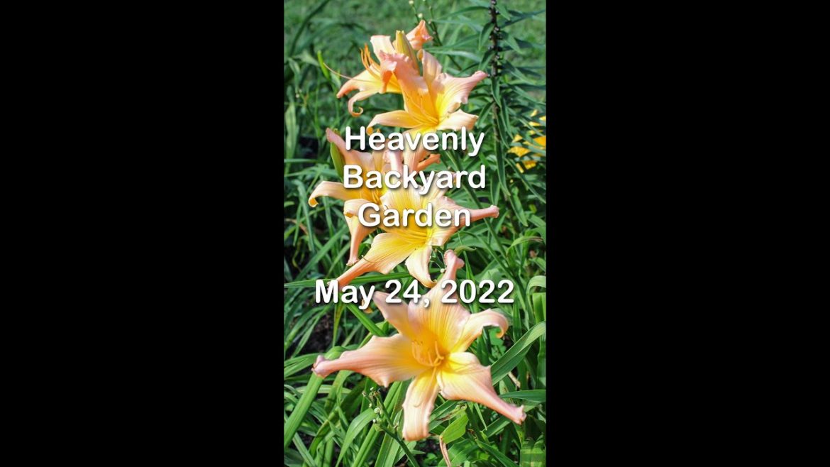 A #Short View of the Heavenly Backyard Garden May 24, 2022