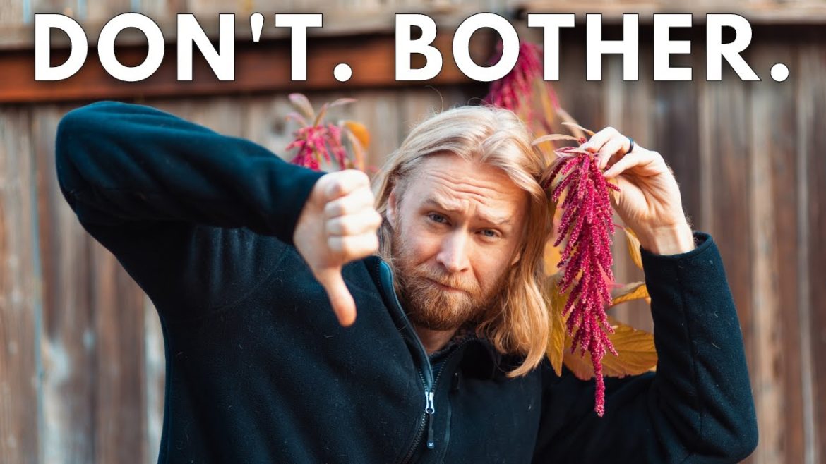 8 Crops I'll NEVER Grow Again (And Don't Recommend) 8 Crops I'll NEVER Grow Again (And Don't Recommend)