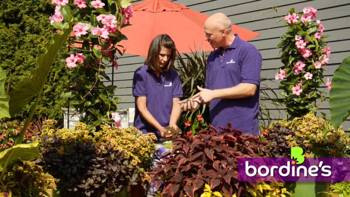 Container Gardening is as Easy as 1, 2, 3!