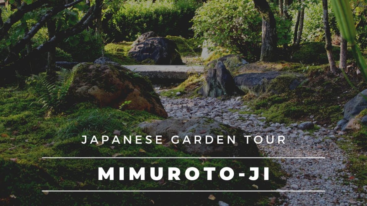 Kyoto Japanese Garden Tour | Mimuroto-Ji Temple in Uji, Japan
