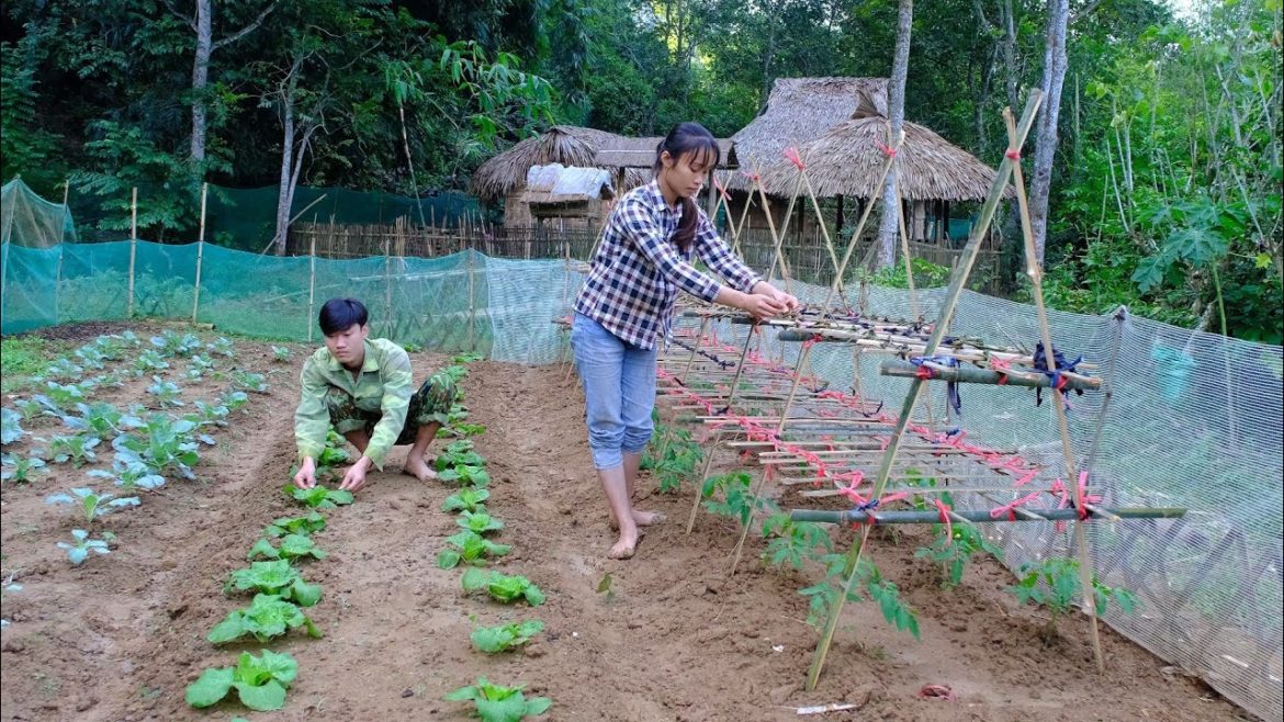 360 days of building a life. Make a trellis for tomatoes, pull water to water the vegetable garden