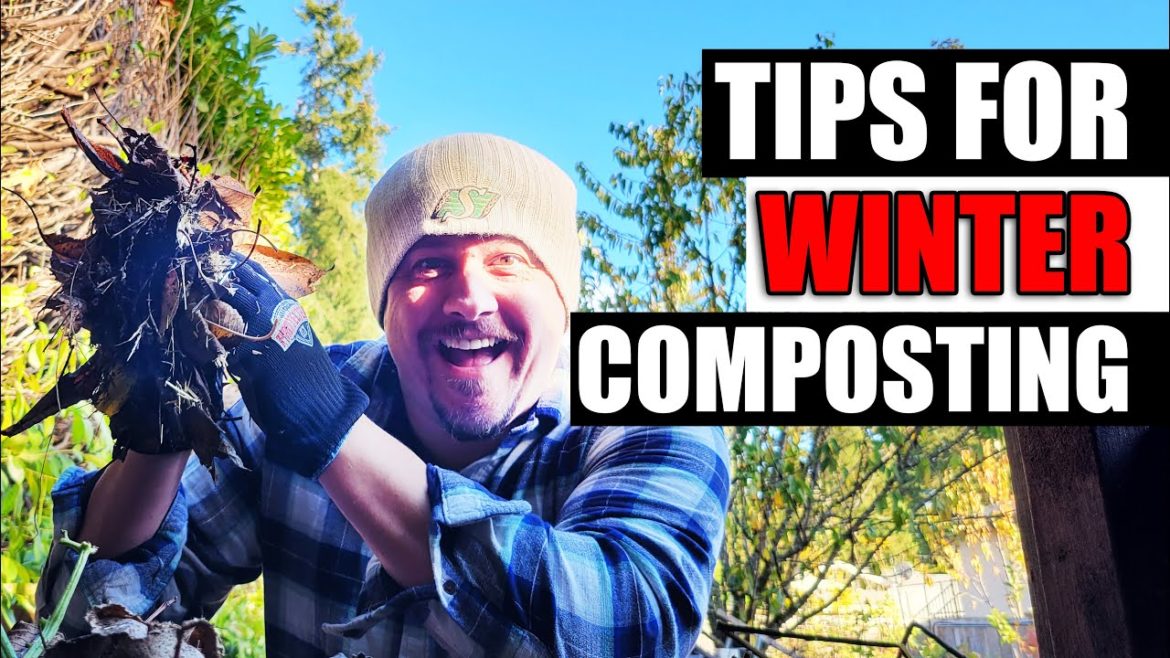 Tips For Winter Composting Tips For Winter Composting