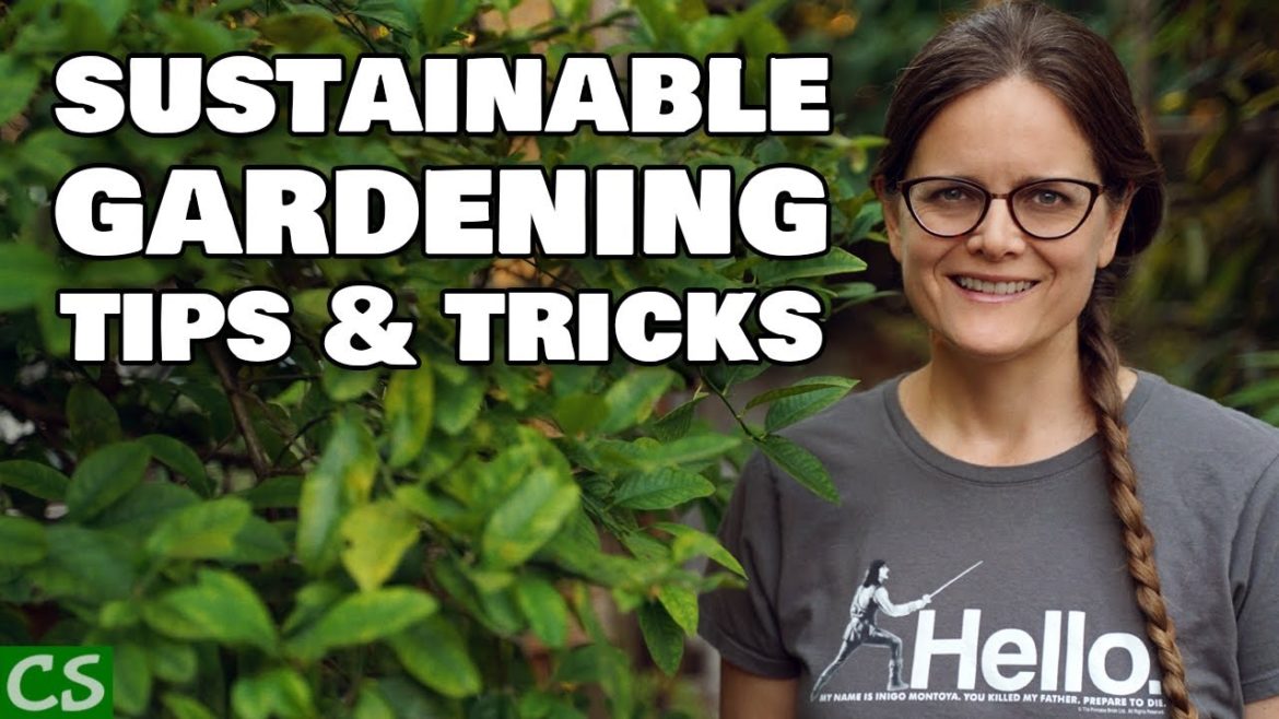 Sustainable Gardening Tips & Tricks