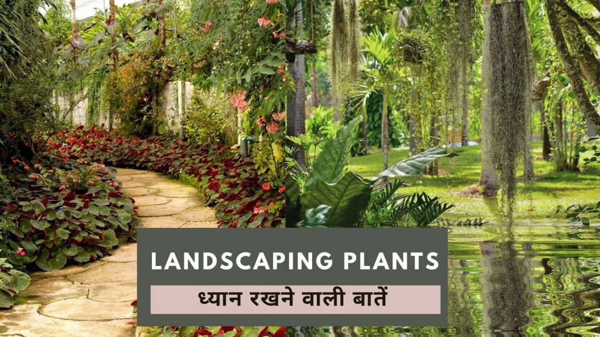 Landscaping Plants के बारे में जानिये | Ekta Chaudhary Landscaping Plants के बारे में जानिये | Ekta Chaudhary