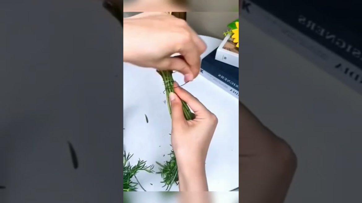 do you like this gardening hack #shorts #ytshorts #viralshorts