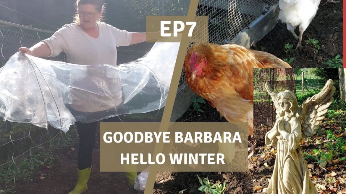 EP7 Chicken Coop Deep Clean, Preparing the Garden for Winter & an Unexpected Loss