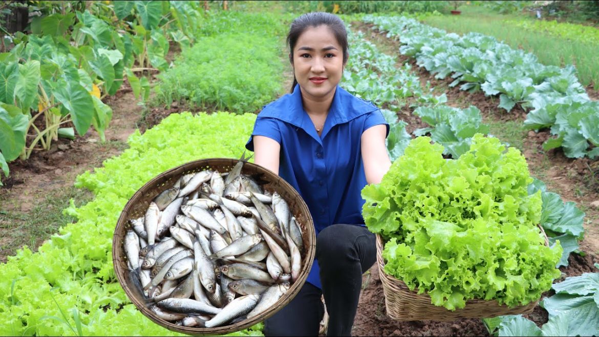Yummy river fish cooking eat with healthy lettuce in vegetable garden - Cooking with Sreypov