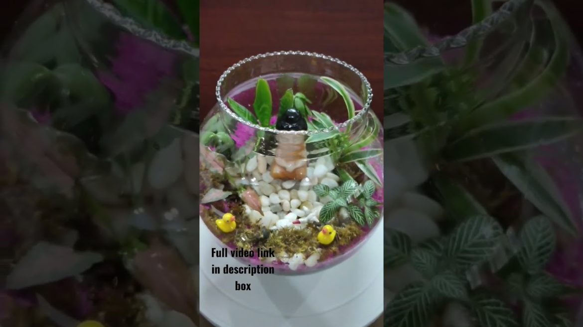 Miniature garden in glass bowl | #shorts #viral #trending Miniature garden in glass bowl | #shorts #viral #trending