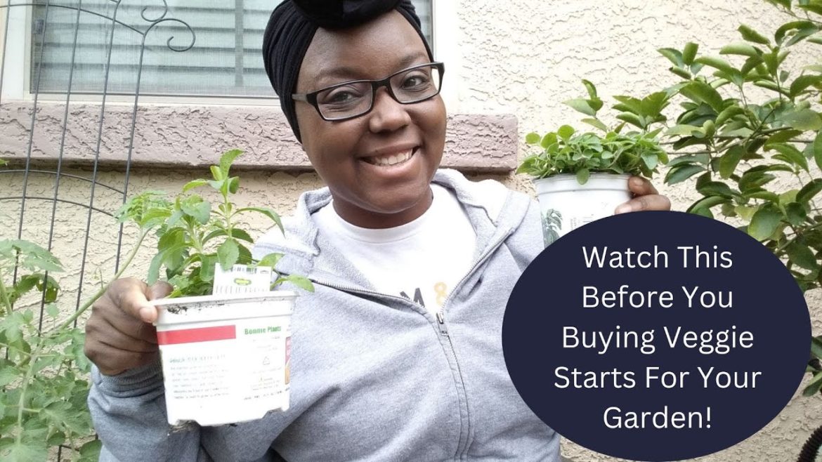 Watch This Before You Buying Veggie Starts For Your Garden! Watch This Before You Buying Veggie Starts For Your Garden!